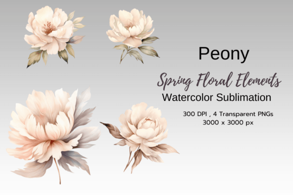 Download Peony Spring Florals Clipart Png - Clipart Collection
