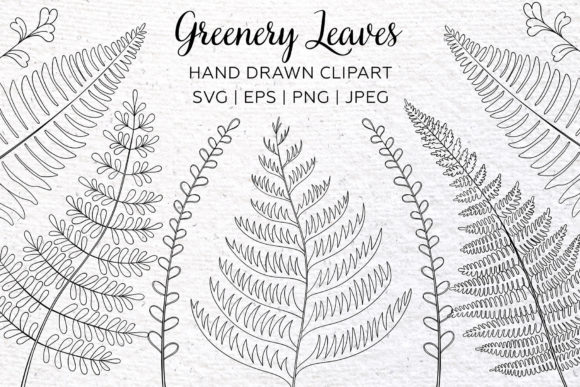 Download Greenery Clipart. Floral Leaf Design. - Clipart Collection