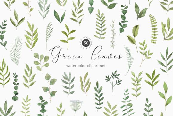 Download Watercolor Greenery Botanical Clipart - Clipart Collection
