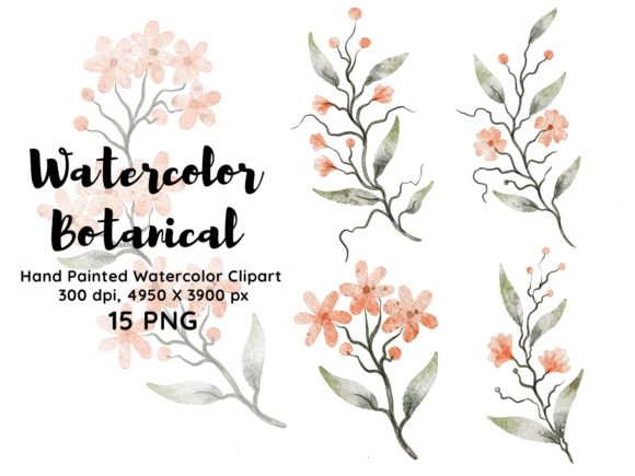 Download Watercolor Botanical Clipart PNG - Clipart Collection