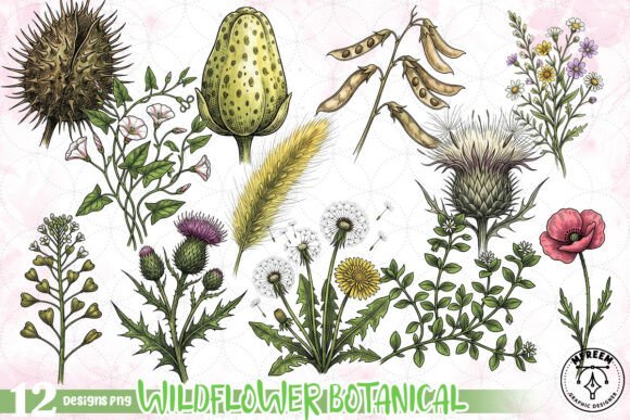 Download Wildflower Botanical Clipart PNG - Clipart Collection